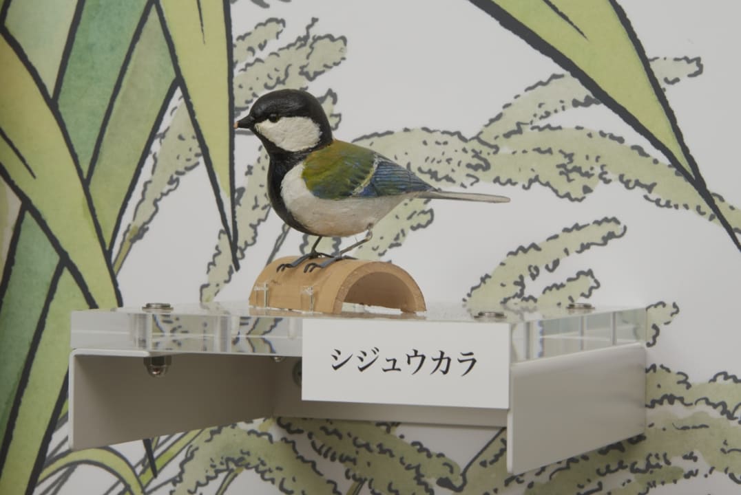 シジュウカラ