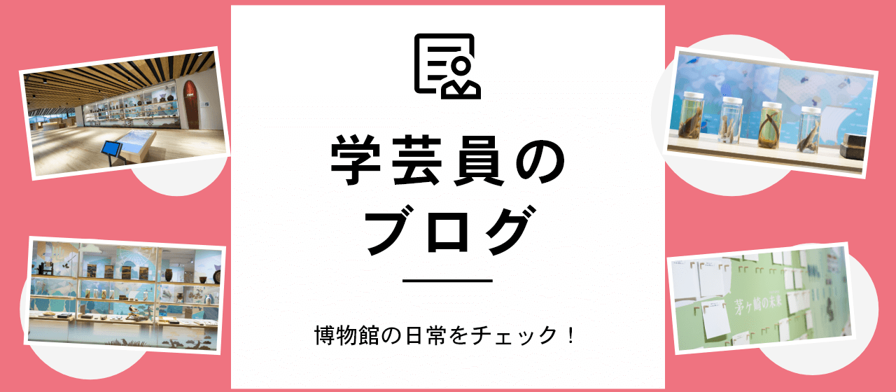 学芸員のブログ