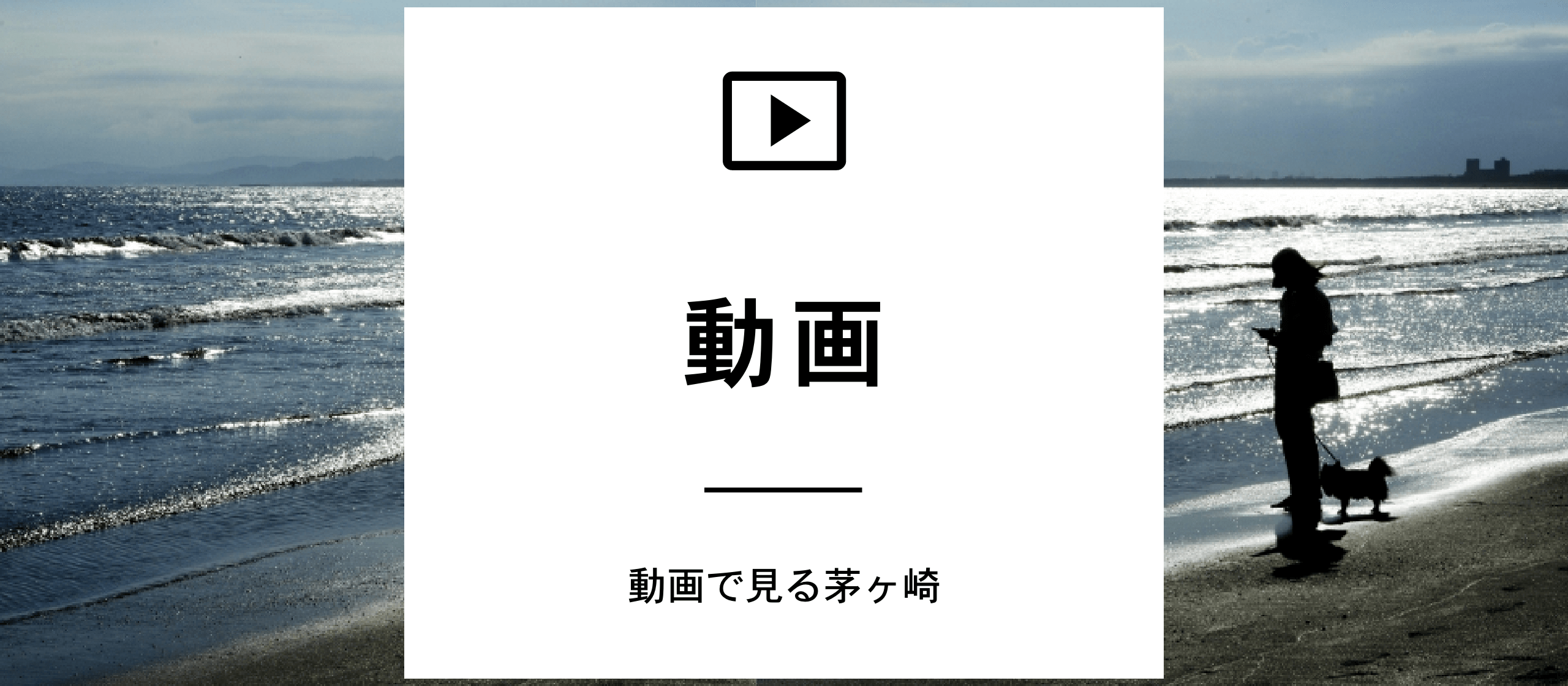動画