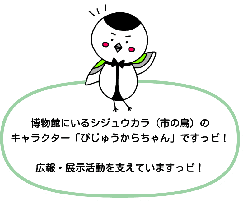 ぴじゅうからちゃん